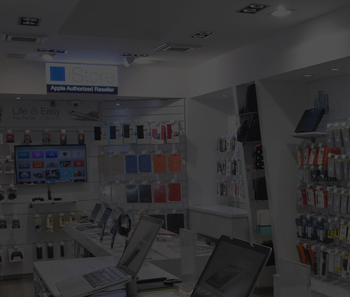 Newsletter tlv Head