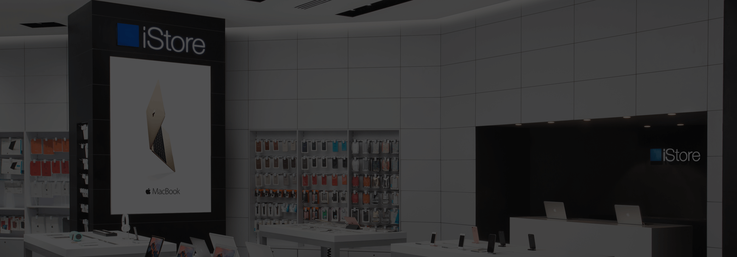 Newsletter Negev Head