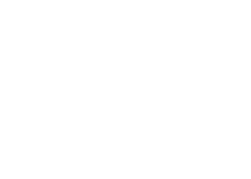 קישוריות ווי פי